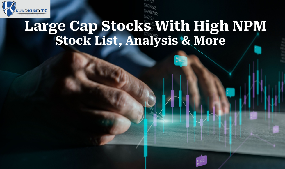 Large Cap Stocks With High NPM