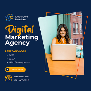Digital Marketing Agency in Delhi – WebCrowd Solutions Services
