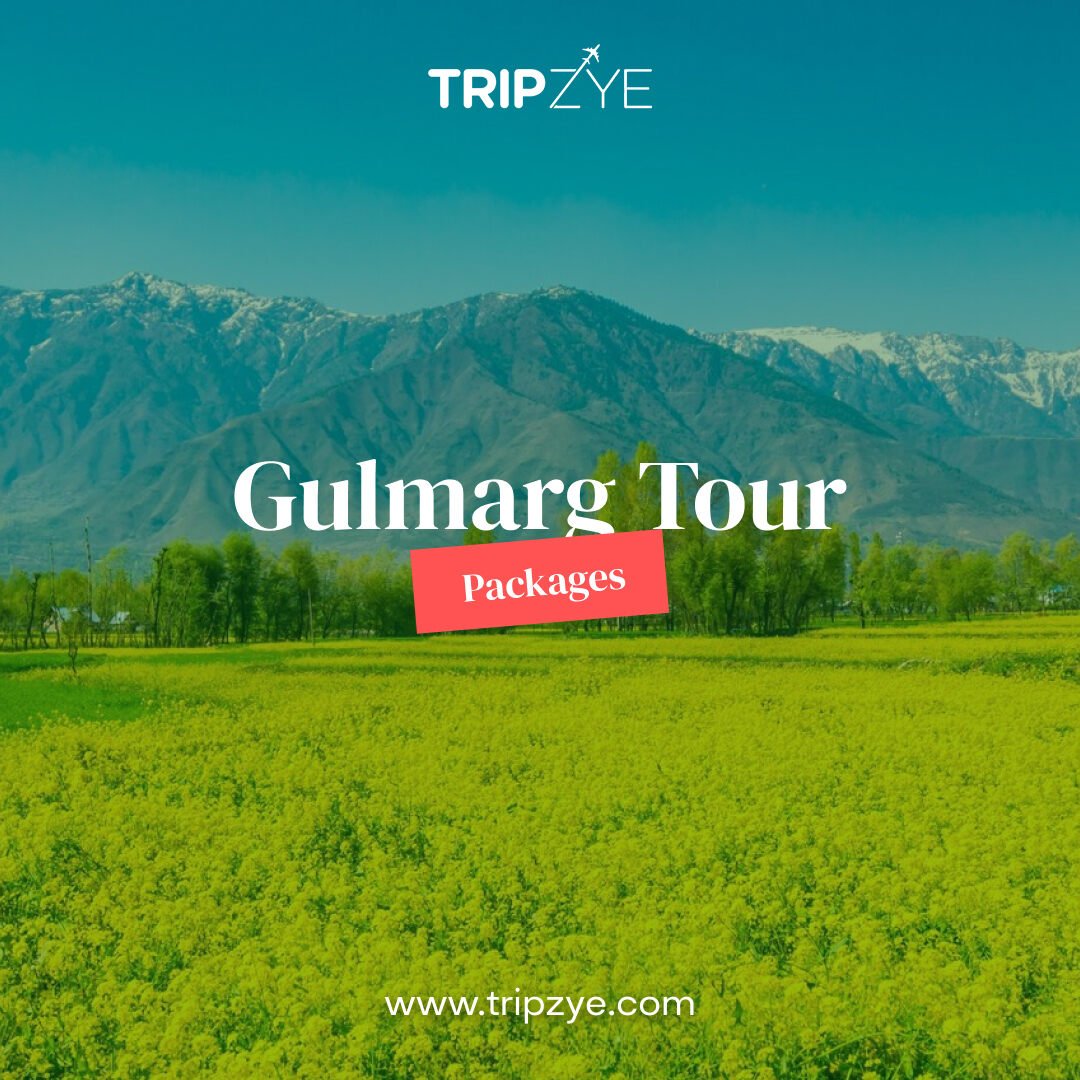 kashmir gulmarg tour - 10dayads