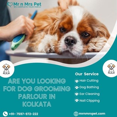 Are you Looking for Dog Grooming Parlour in Kolkata