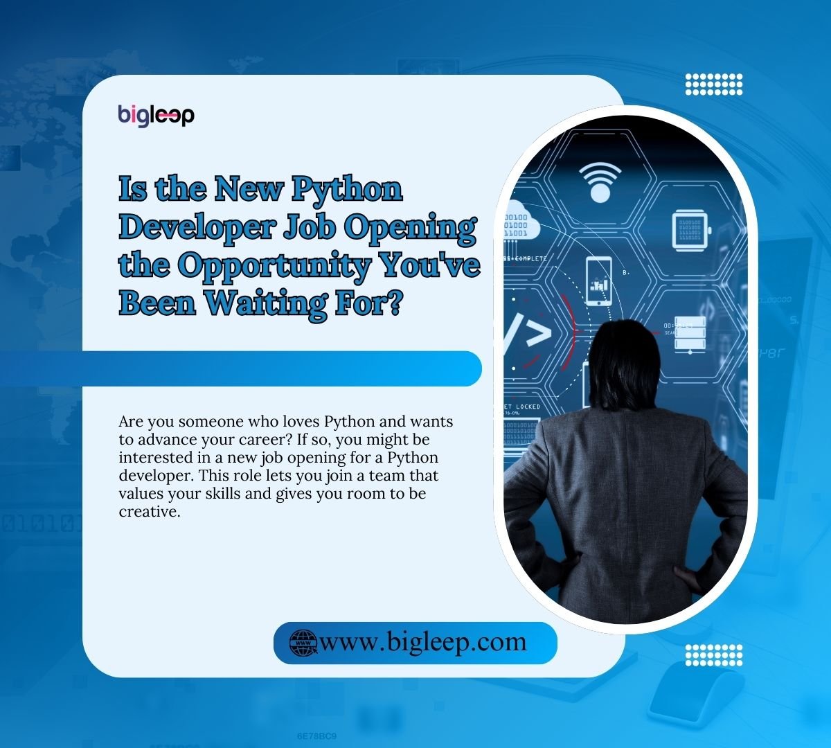 Is the New Python Developer Job Opening the Opportunity You've Been Waiting For?