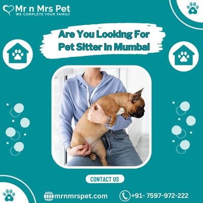 Professional Pet Sitter in Mumbai