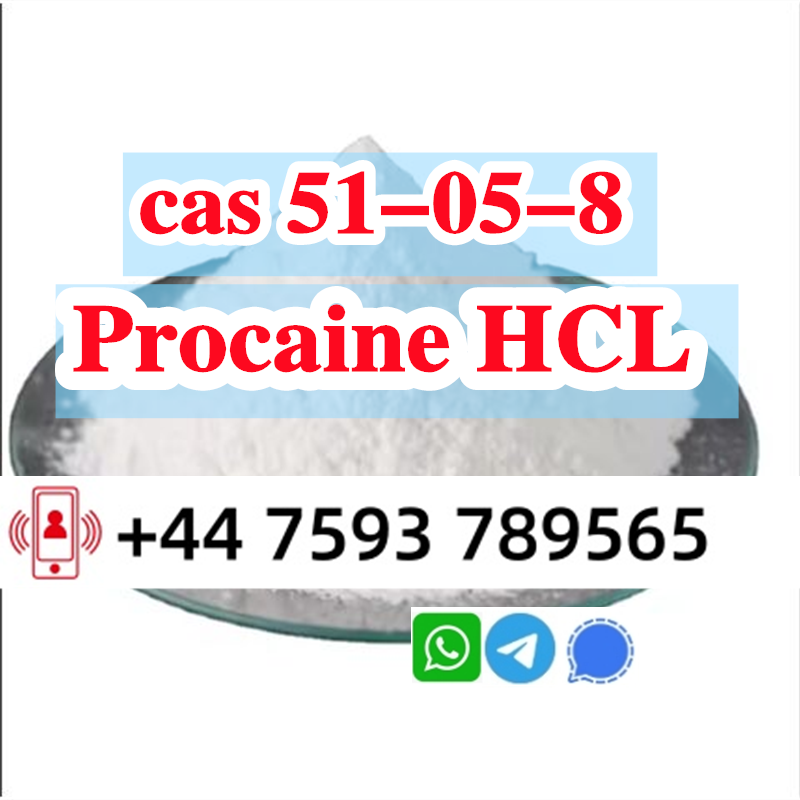 cas 51-05-8 Procaine Hcl Procaine Hydrochloride large stock