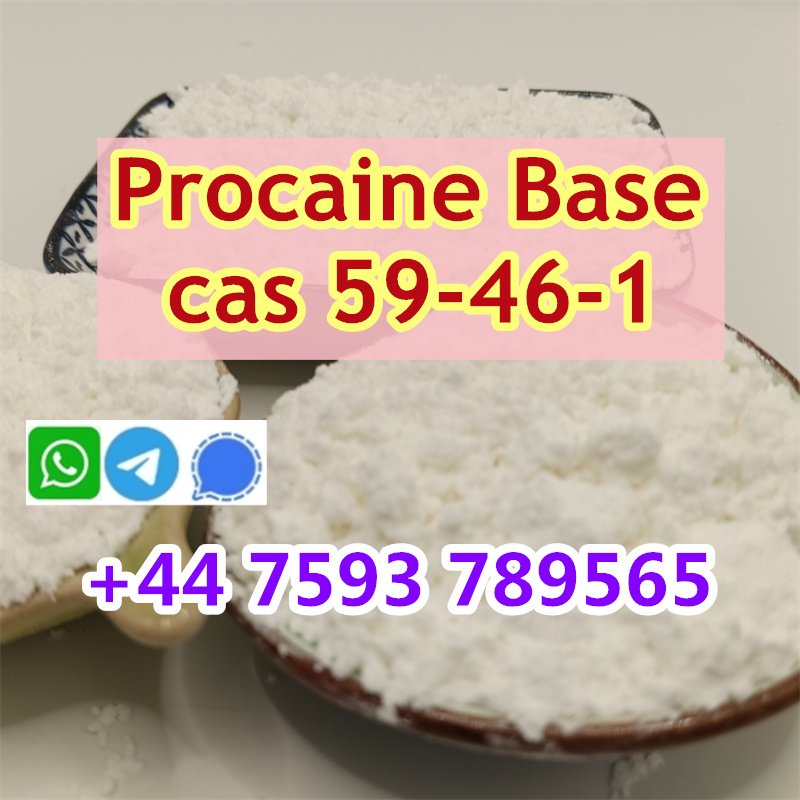high purity cas 59-46-1 Procaine powder Procaine base ship worldwide