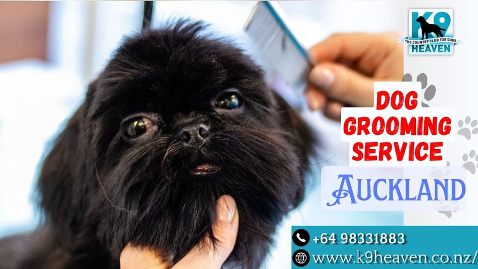 Dog Grooming Auckland