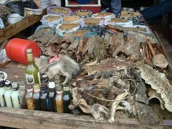 [+2776’4410’726]  TRADITIONAL HEALER / SANGOMA  in British, Lichtenburg, Orkney, swiss reneke, outing, Stella, Mtata, Butterworth, Komani, Mount aylif, Libode, Mother Well, Tsomo, Khayelitsha,  Langa, Delft, Mfuleni, Philipi, Cradock, Mqanduli, Mac lear, Psj, Komani, Kwamasu, Inanda, Bridge city, Mtubatuba, Newlands, Springfield, Chatsworth, hammersdale, Pmb, Tongaat, South africa