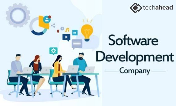 Why You Need a Software Development Company