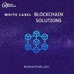 Outstanding White label blockchain solutions development company  – Block Sentinels