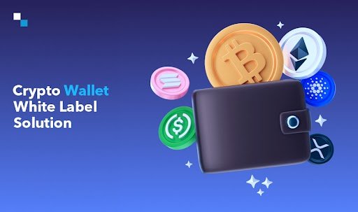 Crypto Wallet White Label Solution: Developed to Handle Unique Challenges & Goals