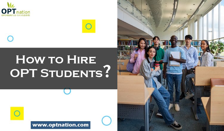 How to Hire OPT Students?