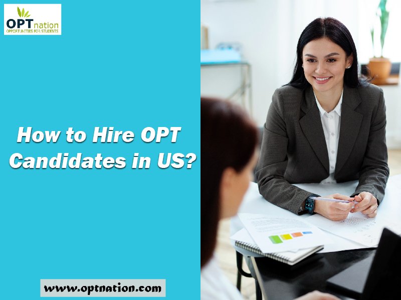 How to Hire OPT Candidates in US?