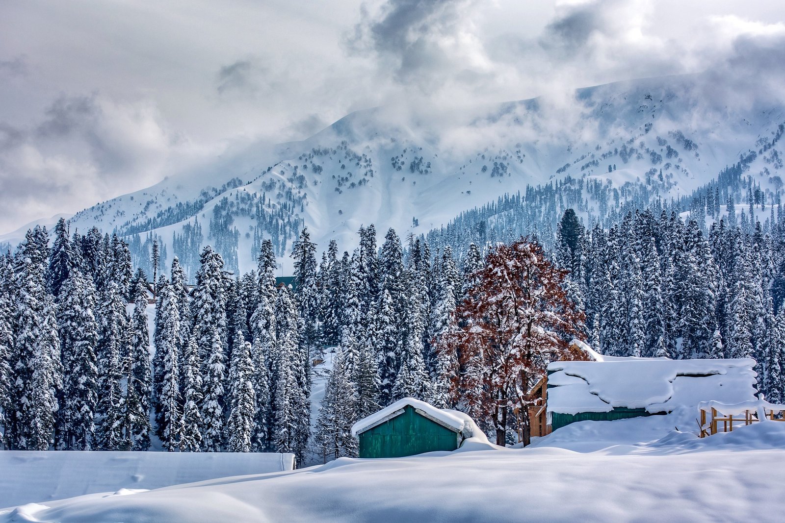 Heavenly Kashmir Retreat