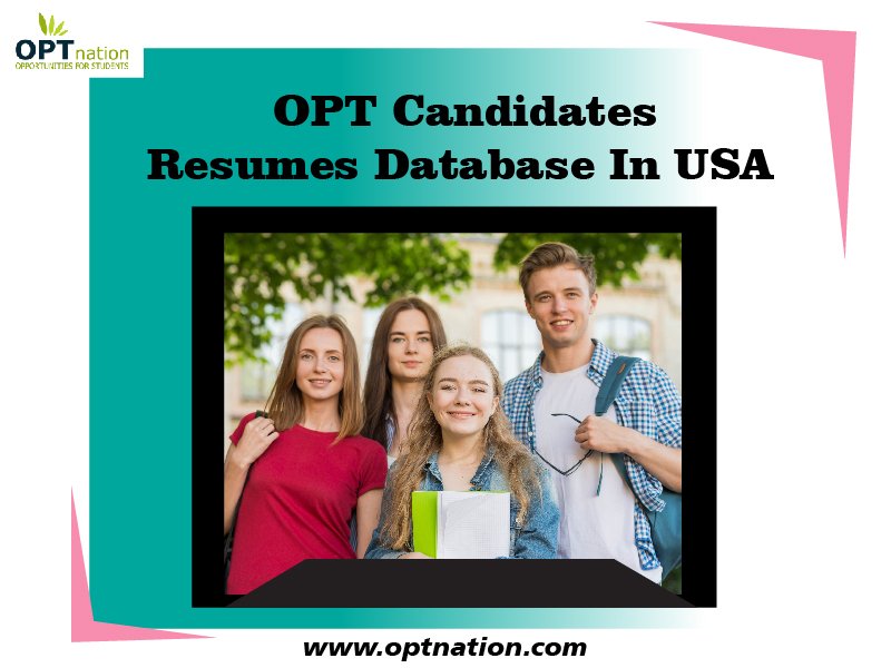 A Complete Guide to the Resumes Database for OPT Candidates in USA