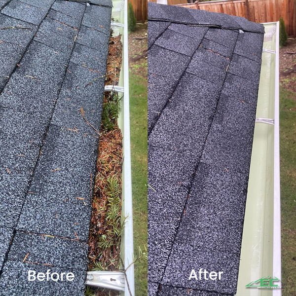 Best Roof Gutter Cleaning Services in Puyallup, WA