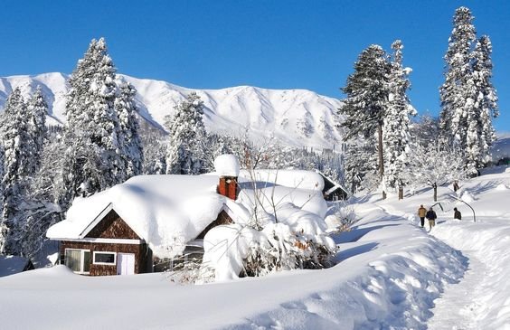 Jammu Kashmir Couple Tour Packages: A Romantic Getaway in Paradise