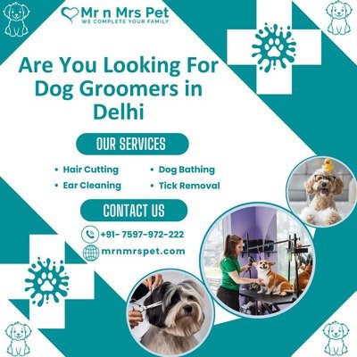 Best Dog Groomers in Delhi