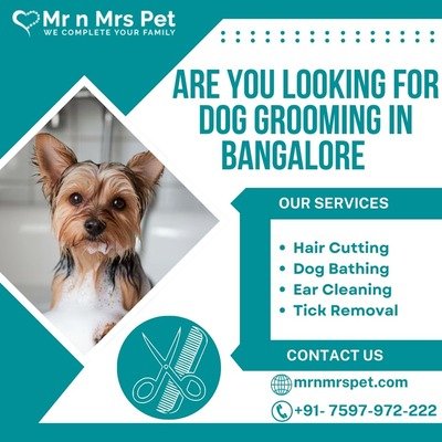 Professional Dog Grooming at Home in Bangalore