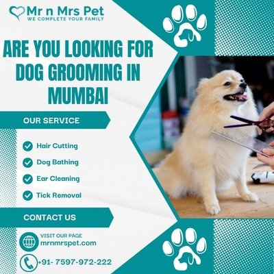 Best Dog Grooming in Mumbai