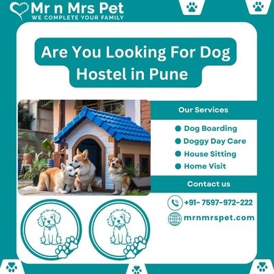 Best Dog Hostel in Pune at Affordable Price