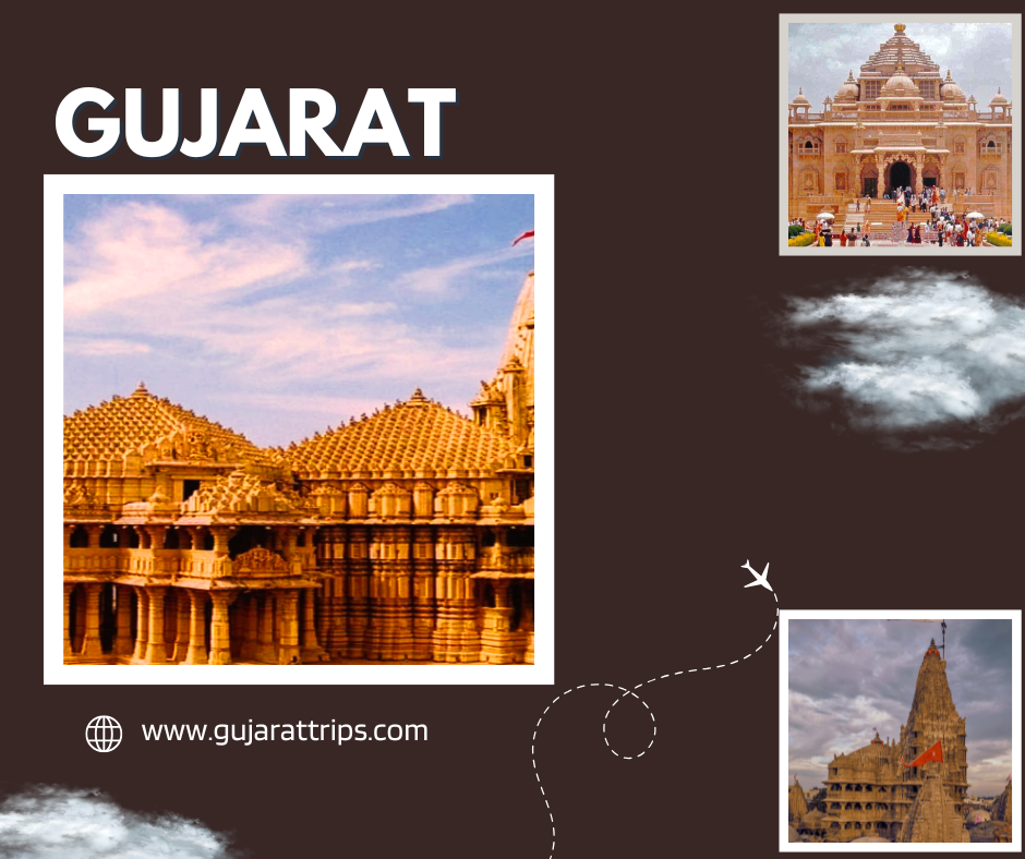 Gujarat Premium Packages