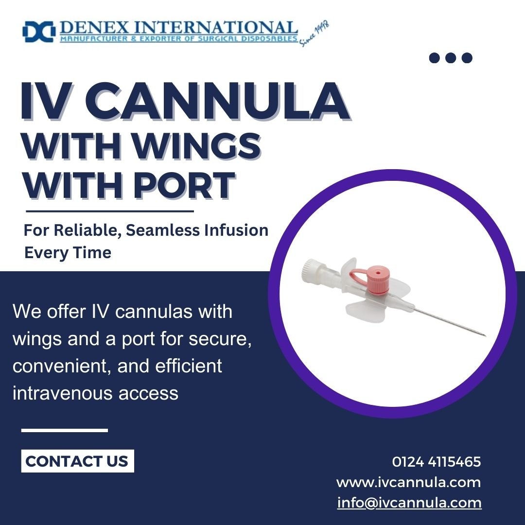 Ivcannula with wings with port