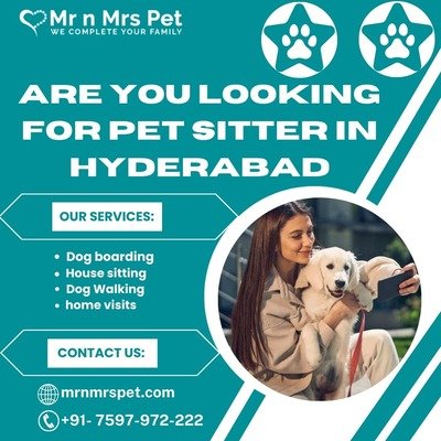 Best Pet Sitter in Hyderabad