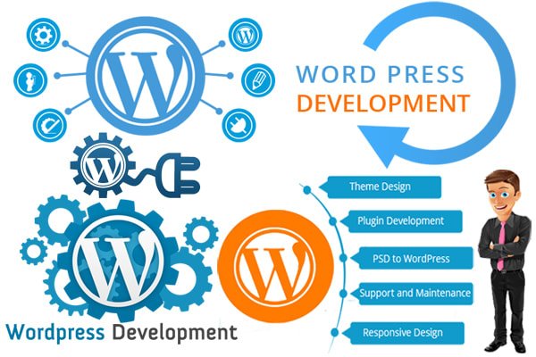 Where you can create your wordpress website