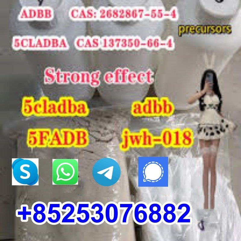 5CL-ADB-A-Strongest research chemical cannabinoid 5cl-adb-a 5cladba