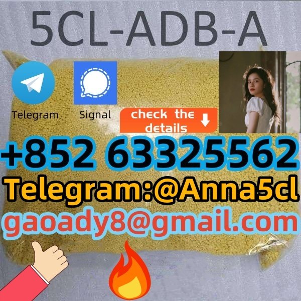 Strongest 5cladba raw material 5CL-ADB-A precursor powder and liquid