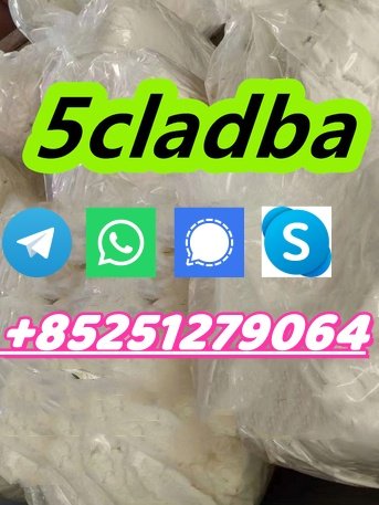 5cladbb Powder 5cl Adb  5cladba 5cl Raw Materials sgt151 at Best Price