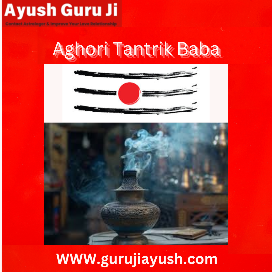 Trusted Love Astrologer in Delhi and Vashikaran Specialist in Delhi – Gurujiayush