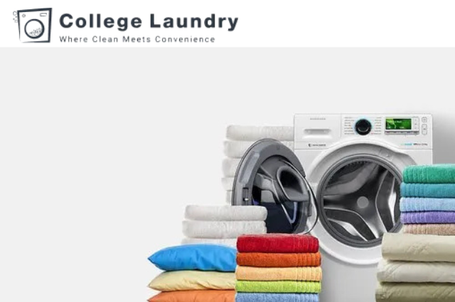 Laundry Simplified: Professional Washing Services Just for You