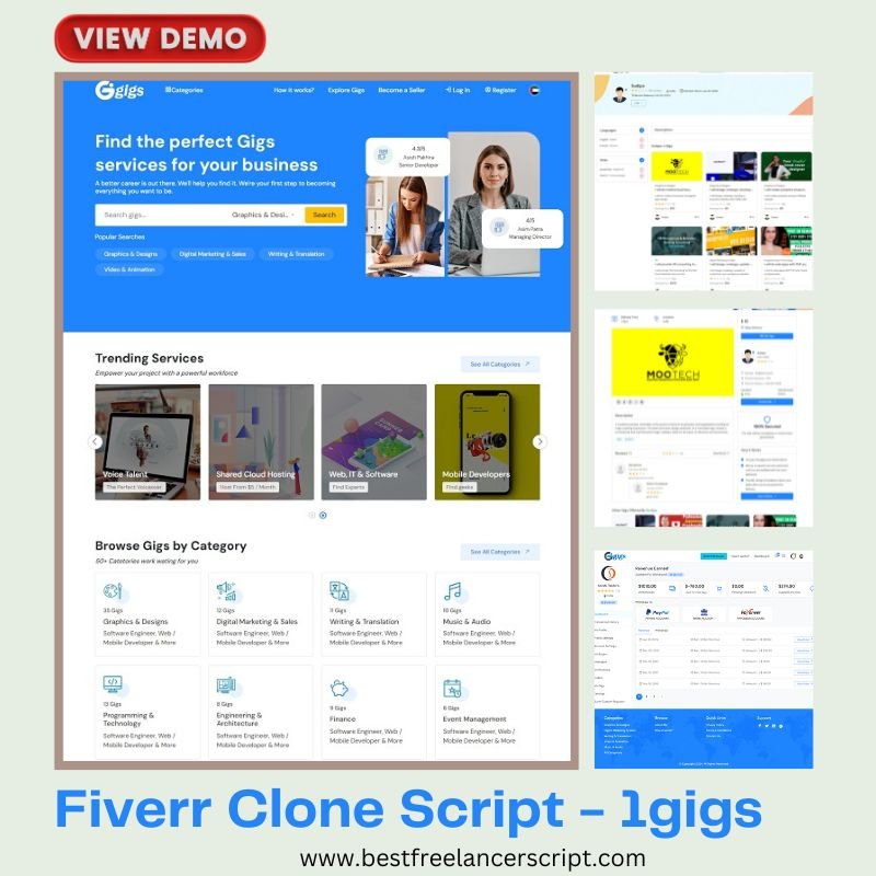 https://10dayads.com/best-fiverr-clone-php-script-for-your-online-freelance-marketplace/