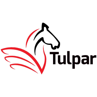 Tulpar Global Taxation