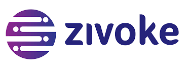 Struggling with Salesforce Implementation? Let Zivoke Help!