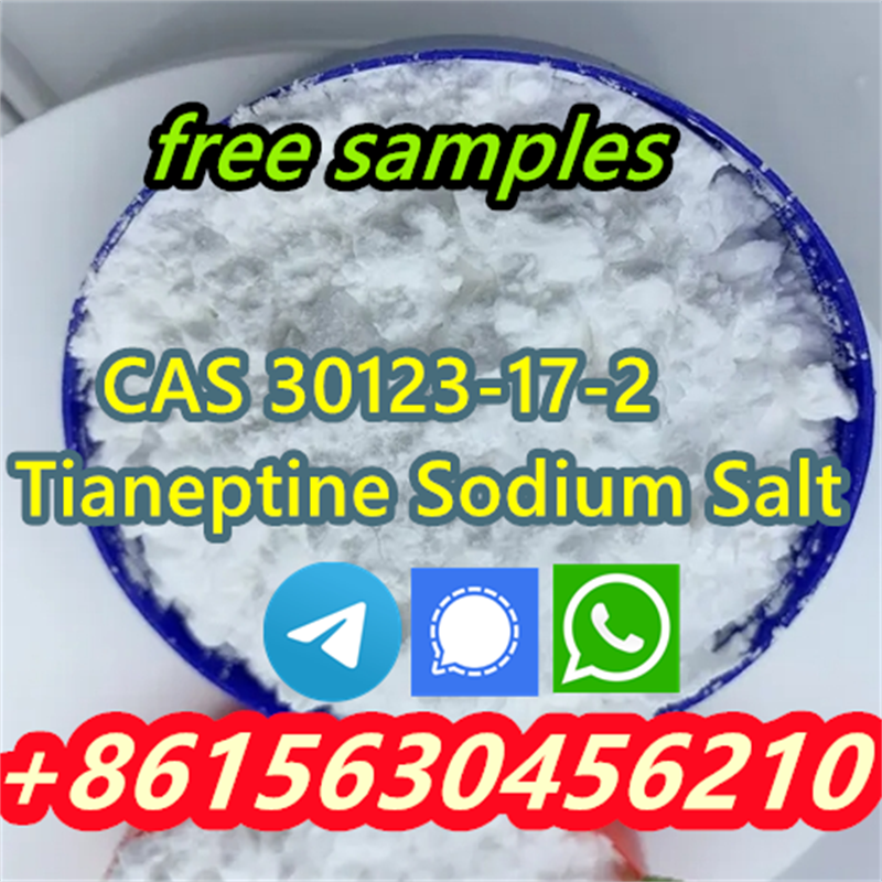 High quality products CAS 30123-17-2 Tianeptine Sodium Salt