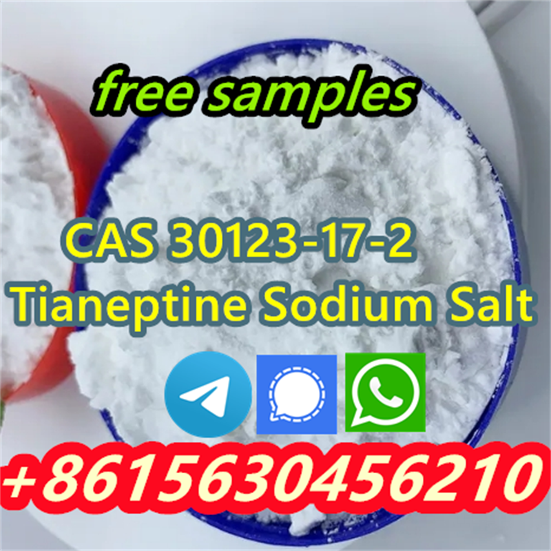 High quality products CAS 30123-17-2 Tianeptine Sodium Salt