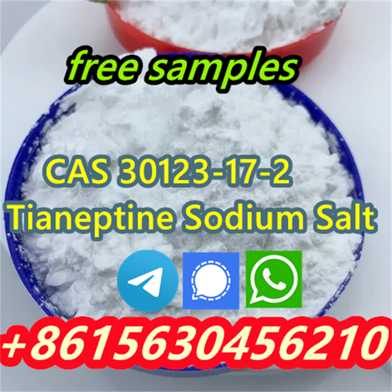 High quality products CAS 30123-17-2 Tianeptine Sodium Salt