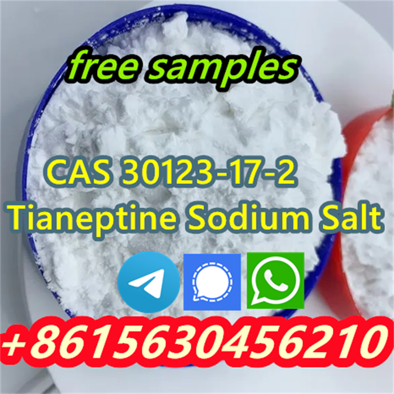 High quality products CAS 30123-17-2 Tianeptine Sodium Salt