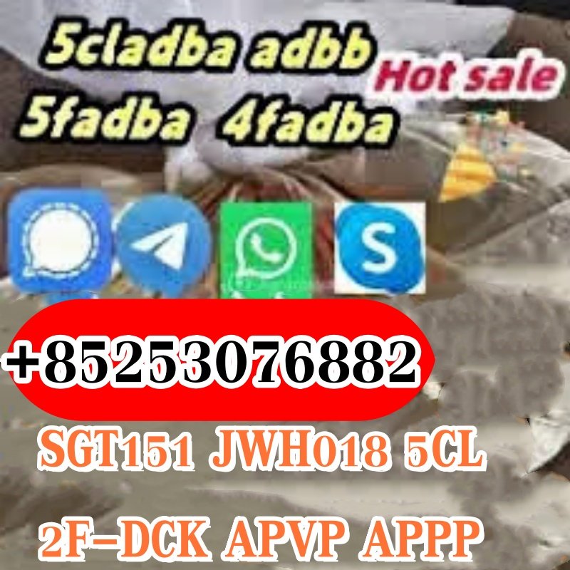 Competitive Price 5CLADBA/ADBB 4fadba 6cl 119276-01-6 Protonitazene