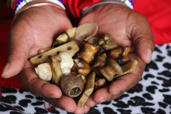 ⓶➸# BEST SANGOMA – [+27`60`801`9525] GIFTED -TRADITIONAL HEALER / A SPELL CASTER & A SPIRITUAL HEALER  in Mankweng, Louis Trichardt , Lulekano , Mussina , Mutale , Nkowakowa , Nylstroom , Phalaborwa , Piet Retief , Pietersburg , Soekmekaar , Thabazimbi , Thohoyandou , Thulamahashe , Tzaneen , Warmbad