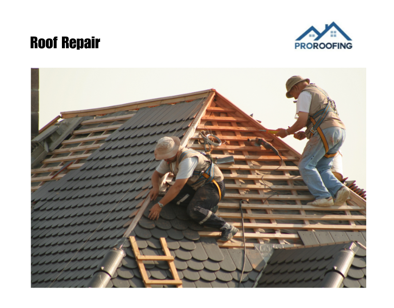 Expert Shingle Roof Replacement: Protect & Beautify Your Home