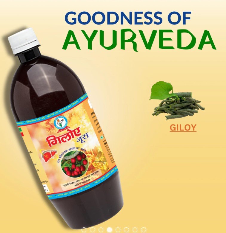 Giloy Juice: Your Natural Shield Against Illnesses, Inside and Out