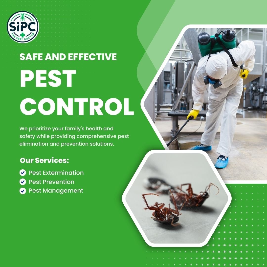 "SIPC Pest Control Services in Mumbai: Your Trusted Partner for a Pest-Free Home"