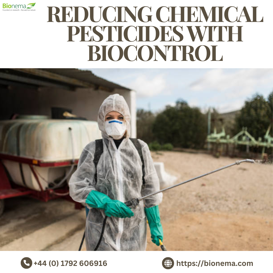 Reducing Chemical Pesticides Through Biocontrol