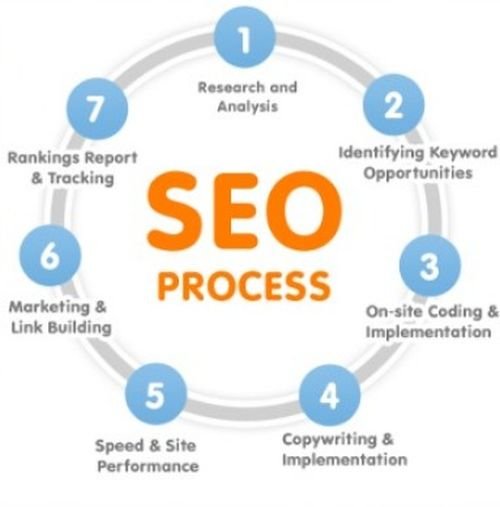 Professional SEO to enhance site authority