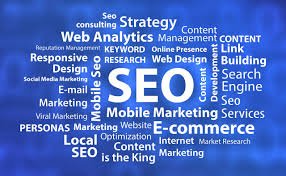 Professional SEO Services for Driving Traffic, Leads, & Sales