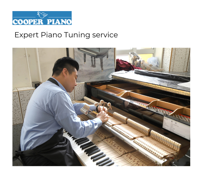 Piano Tuning Services – Fast, Reliable, and Local!