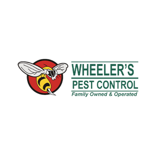 Say Goodbye to Pests: Expert Pest Control Services in Menifee