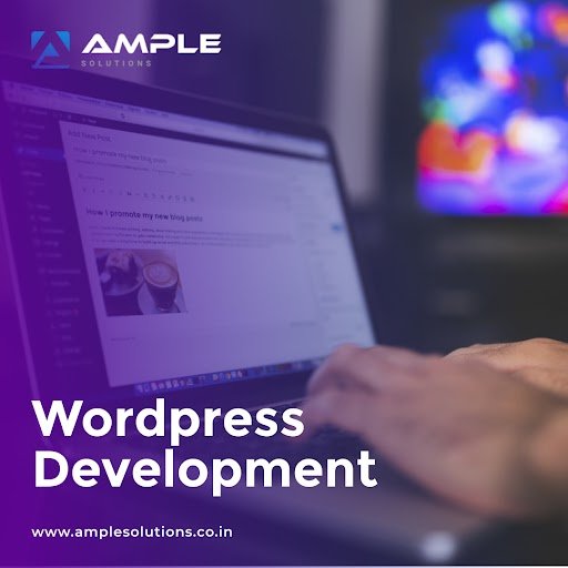 custom wordpress development